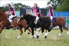 UKPA  NC Sat_1381